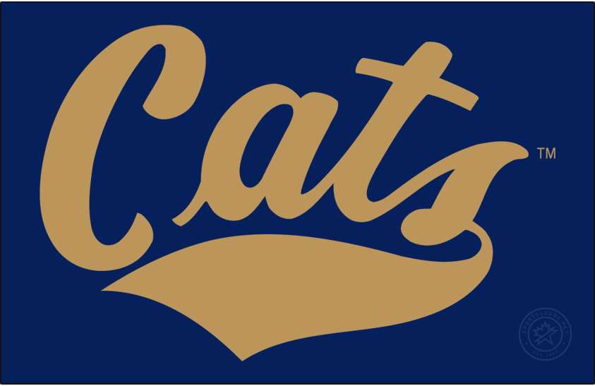 Montana State Bobcats 2017-Pres Wordmark Logo DIY iron on transfer (heat transfer)